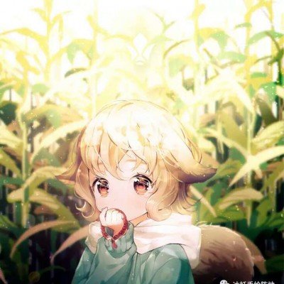 韩国40岁导演遭围殴致死引众怒
